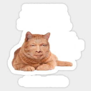 Eckhart Tolle Zen Master Cat quote - “I have lived with several zen masters, all of them cats” Sticker
